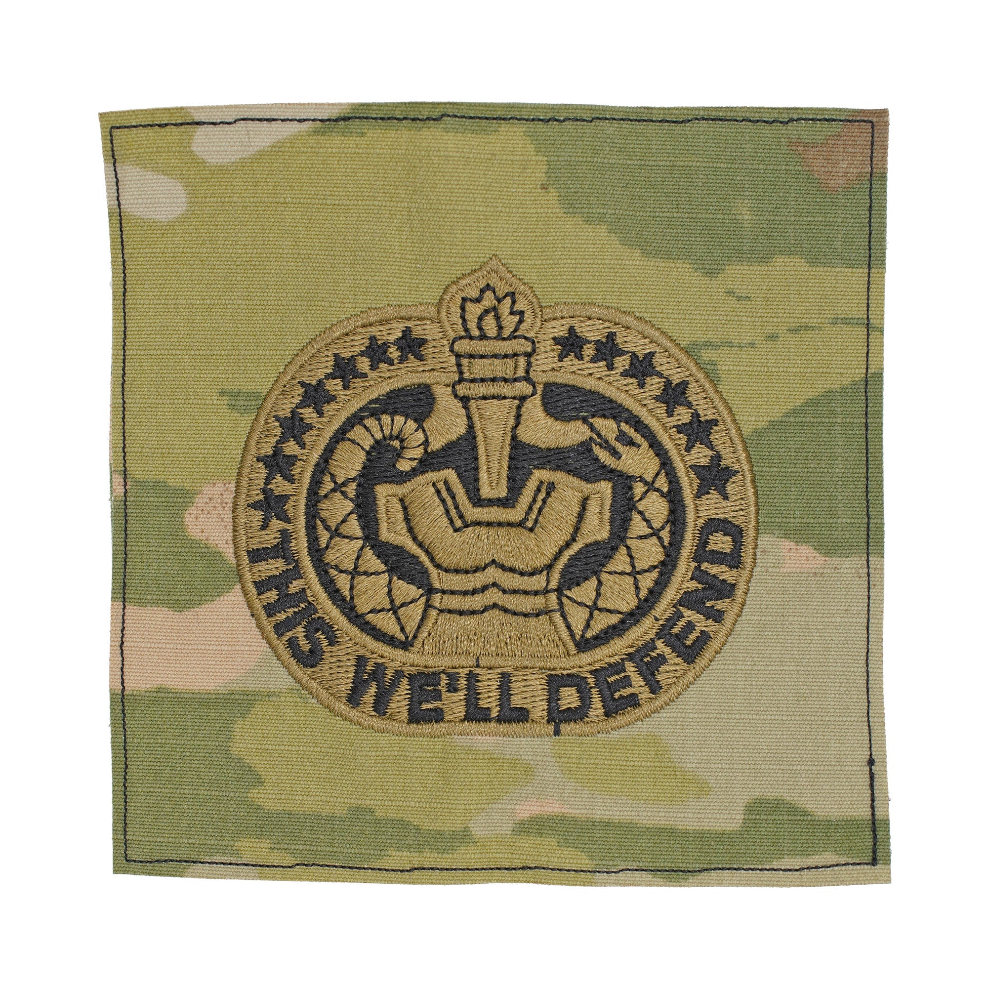 Drill Sergeant (Instructor) OCP Sew-on Badge - Insignia Depot