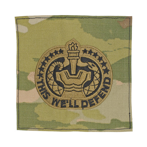Drill Sergeant (Instructor) OCP Sew-on Badge - Insignia Depot