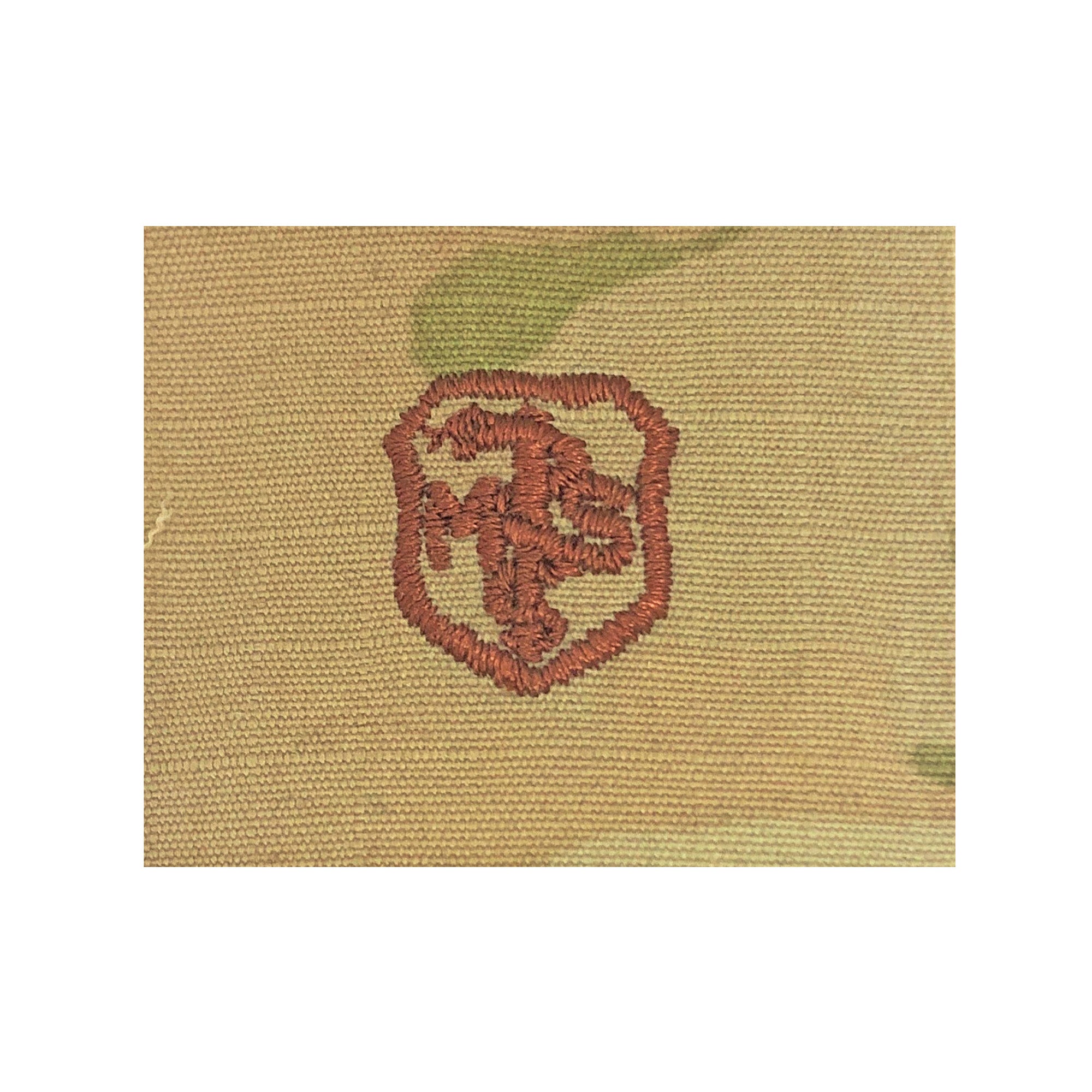US Air Force Medical Service Corps Basic OCP Spice Brown Badge - Insignia Depot