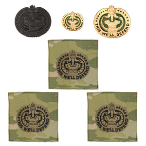 US Army Drill Sergeant Instructor Badge Bundle - Insignia Depot