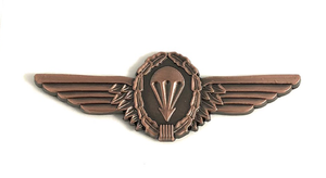 German Bronze Small Jump Wings - Insignia Depot