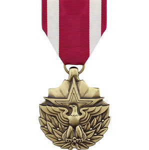 Meritorious Service Large Medal - Insignia Depot