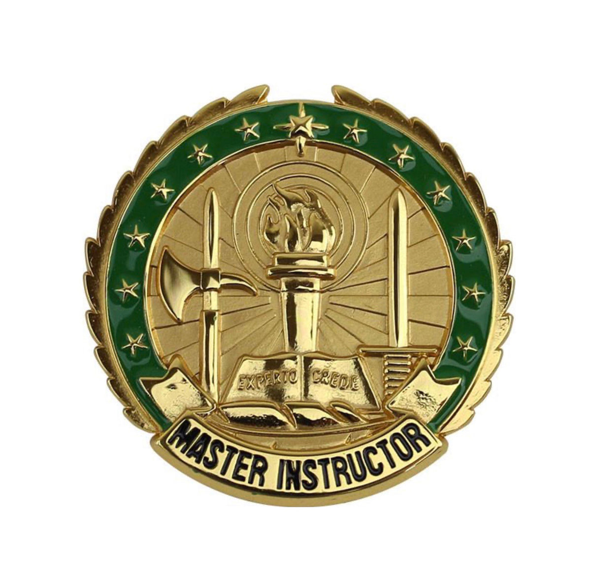 Aide to BDG Master Instructor Brite Pin-On Badge | Insignia Depot