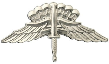 Military Free Fall Parachutist (Halo) Basic Brite Pin-on Badge - Insignia Depot