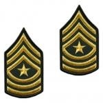 E9 Sergeant Major Gold on Green Sew-on - Large-Male - Insignia Depot