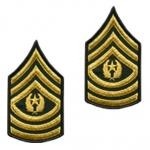 E9 Command Sergeant Major Gold on Green Sew-on - Large-Male - Insignia Depot