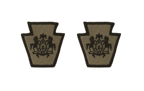 Pennsylvania National Guard OCP Patch with Hook Fastener (pair) - Insignia Depot